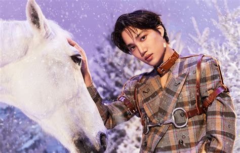 Netizens react to EXO Kai's fairytale